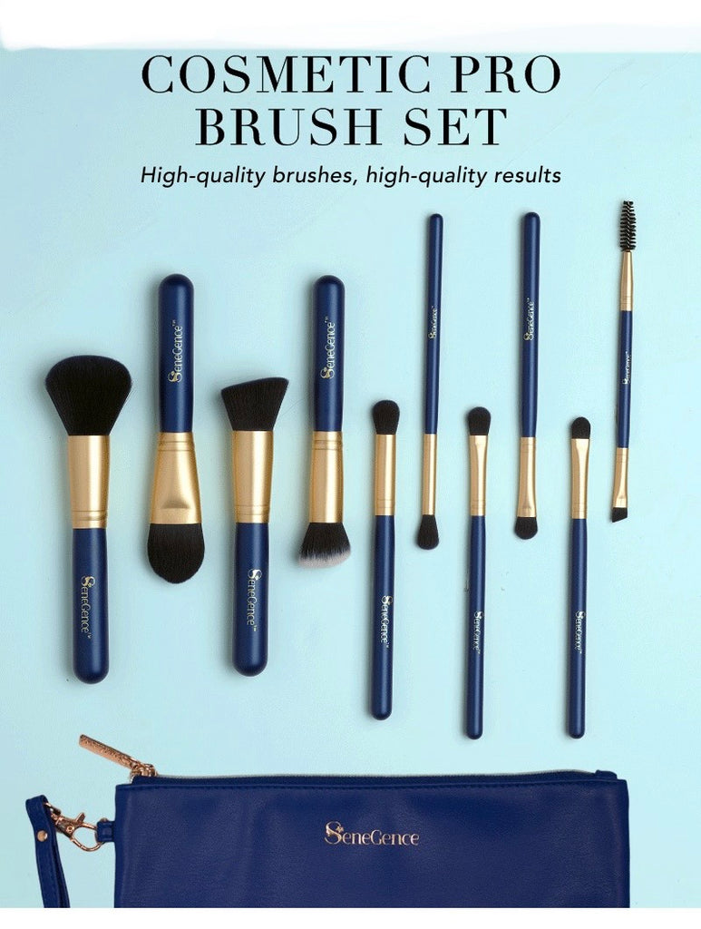 Brush Set w Bag Cosmetic Pro 10pc